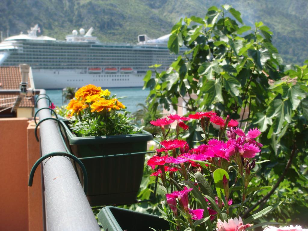 Apartments Martiva Kotor Phòng bức ảnh