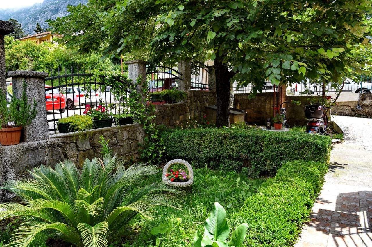 Apartments Martiva Kotor Ngoại thất bức ảnh